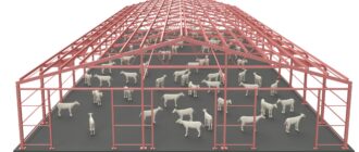 Овчарня проект на 250 голов